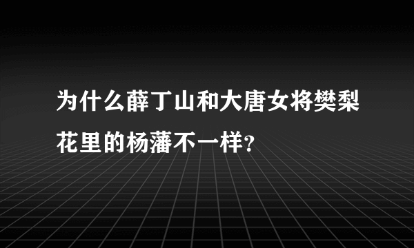 为什么薛丁山和大唐女将樊梨花里的杨藩不一样？