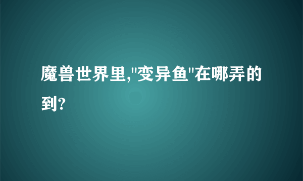 魔兽世界里,