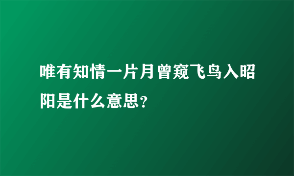 唯有知情一片月曾窥飞鸟入昭阳是什么意思？