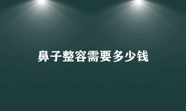 鼻子整容需要多少钱