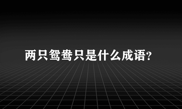 两只鸳鸯只是什么成语？