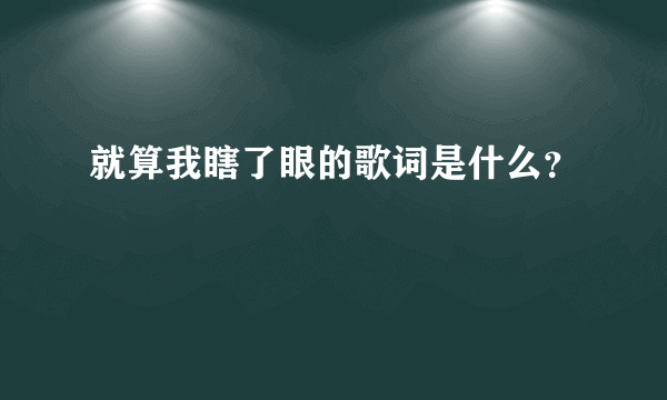 就算我瞎了眼的歌词是什么？