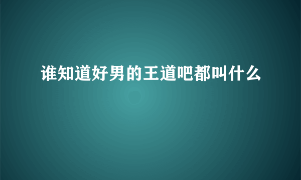 谁知道好男的王道吧都叫什么