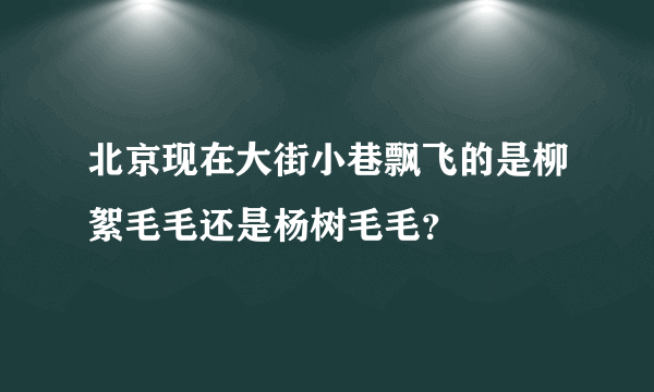 北京现在大街小巷飘飞的是柳絮毛毛还是杨树毛毛？