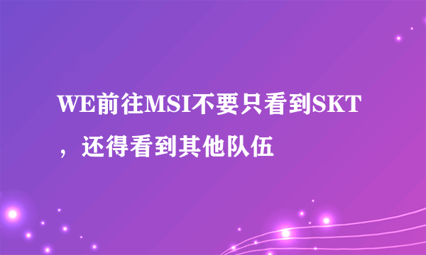 WE前往MSI不要只看到SKT，还得看到其他队伍