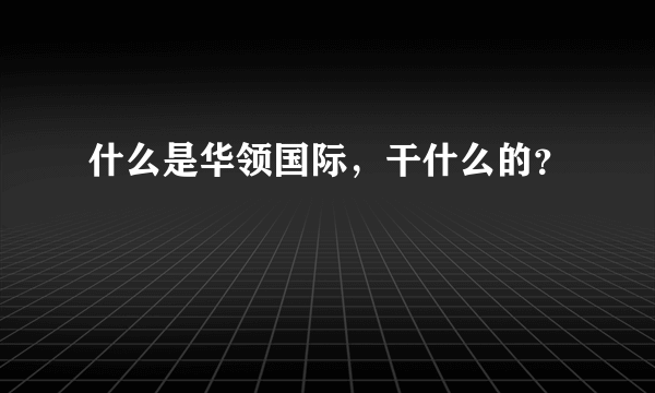 什么是华领国际，干什么的？