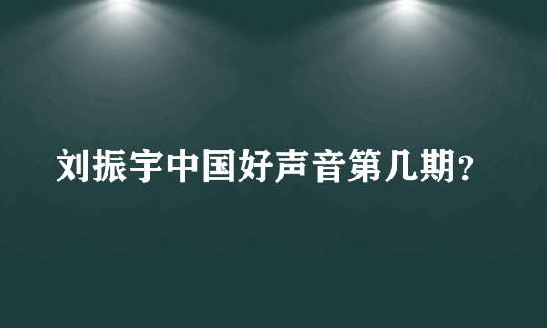 刘振宇中国好声音第几期？