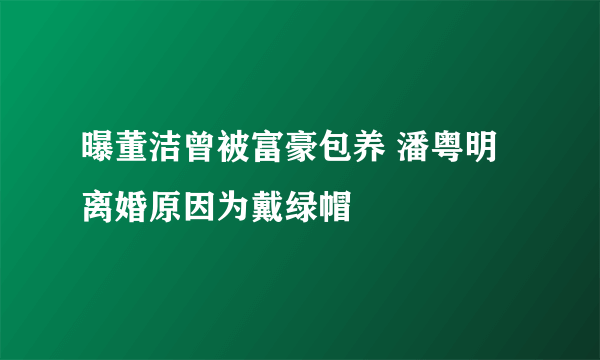 曝董洁曾被富豪包养 潘粤明离婚原因为戴绿帽