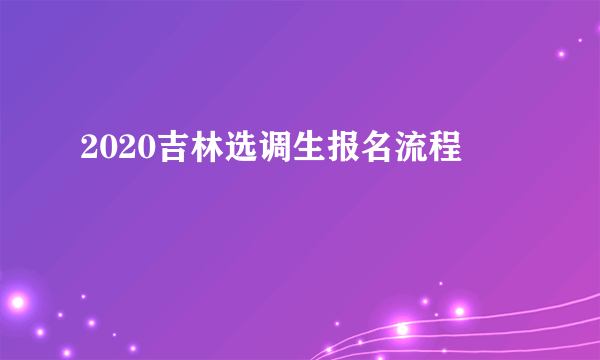 2020吉林选调生报名流程