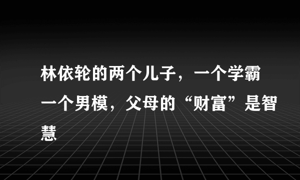 林依轮的两个儿子，一个学霸一个男模，父母的“财富”是智慧