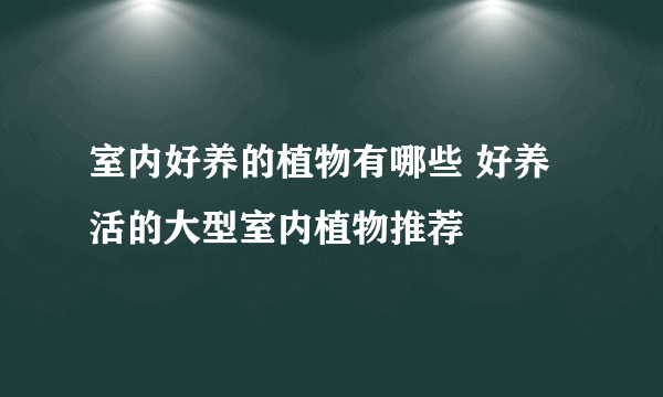 室内好养的植物有哪些 好养活的大型室内植物推荐