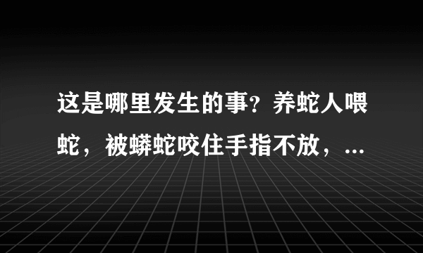 这是哪里发生的事？养蛇人喂蛇，被蟒蛇咬住手指不放，结果被按在水中都无济于事，视频很短，没有说后面