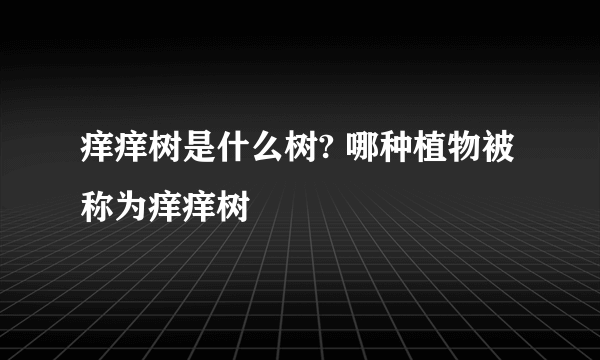 痒痒树是什么树? 哪种植物被称为痒痒树