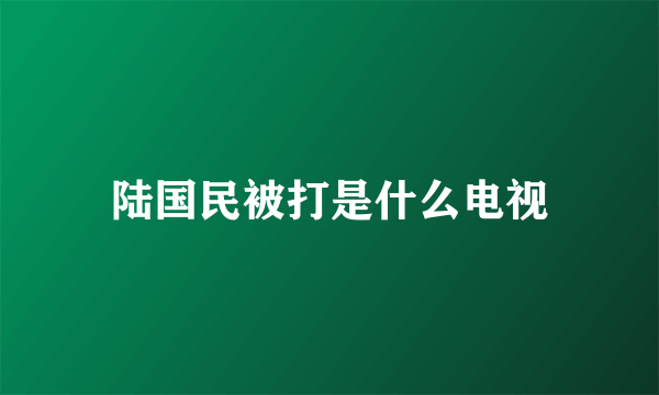 陆国民被打是什么电视