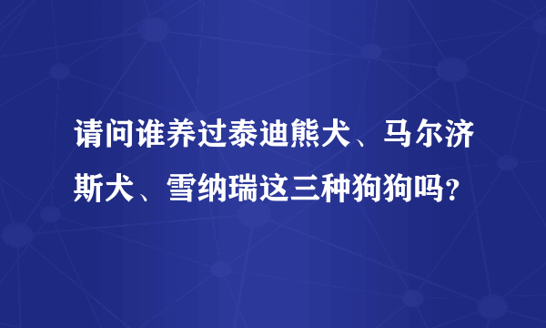 请问谁养过泰迪熊犬、马尔济斯犬、雪纳瑞这三种狗狗吗？