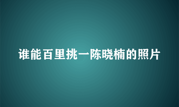 谁能百里挑一陈晓楠的照片