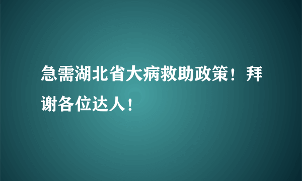 急需湖北省大病救助政策！拜谢各位达人！