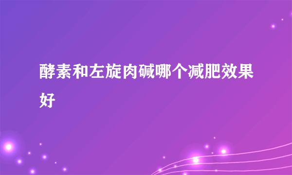 酵素和左旋肉碱哪个减肥效果好