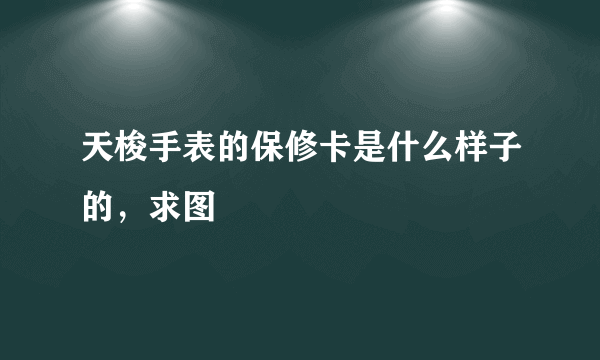 天梭手表的保修卡是什么样子的，求图