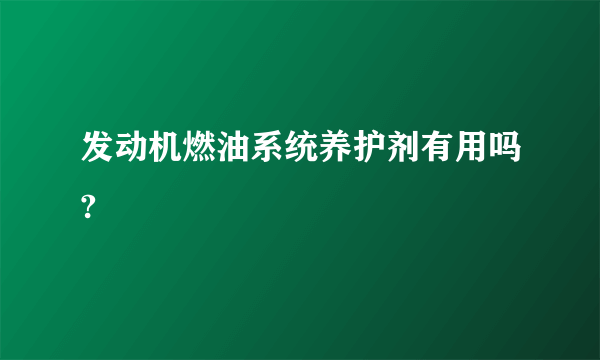 发动机燃油系统养护剂有用吗?