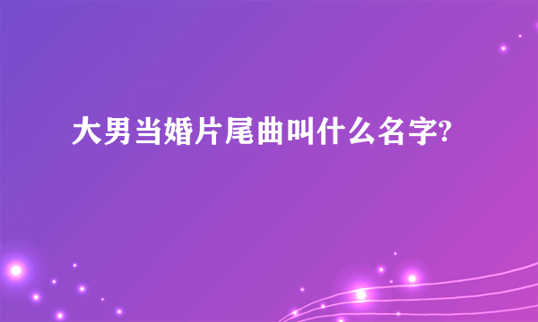 大男当婚片尾曲叫什么名字?