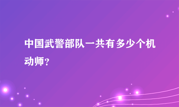 中国武警部队一共有多少个机动师？