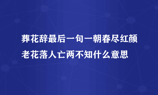 葬花辞最后一句一朝春尽红颜老花落人亡两不知什么意思