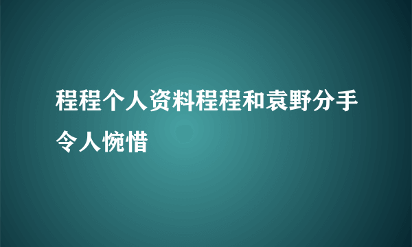 程程个人资料程程和袁野分手令人惋惜