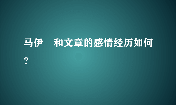 马伊琍和文章的感情经历如何？