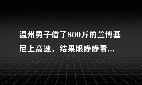 温州男子借了800万的兰博基尼上高速，结果眼睁睁看着车子被烧穿, 你怎么看？