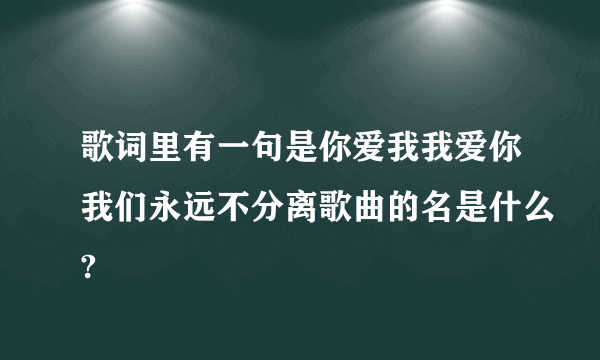 歌词里有一句是你爱我我爱你我们永远不分离歌曲的名是什么?