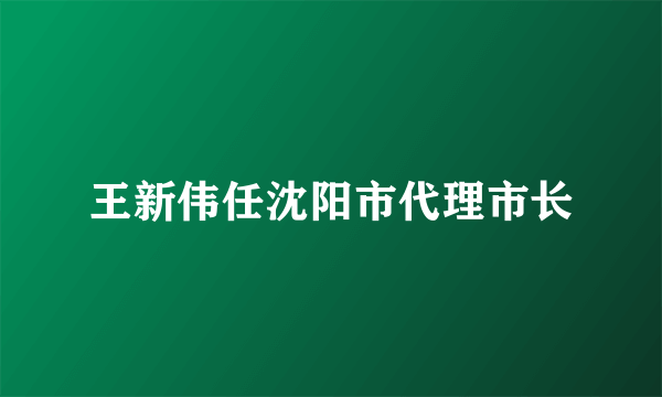 王新伟任沈阳市代理市长