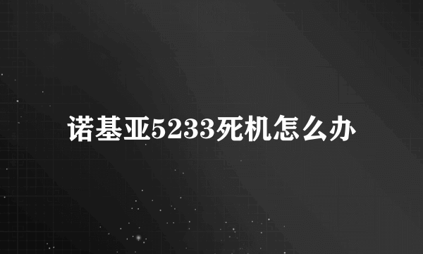 诺基亚5233死机怎么办