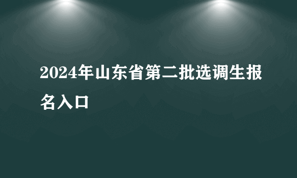 2024年山东省第二批选调生报名入口