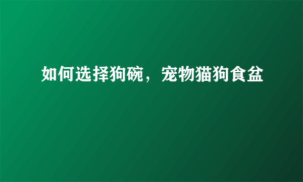 如何选择狗碗，宠物猫狗食盆