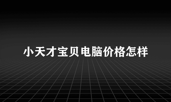 小天才宝贝电脑价格怎样