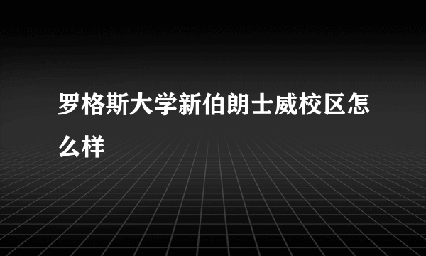 罗格斯大学新伯朗士威校区怎么样