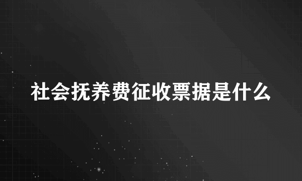 社会抚养费征收票据是什么