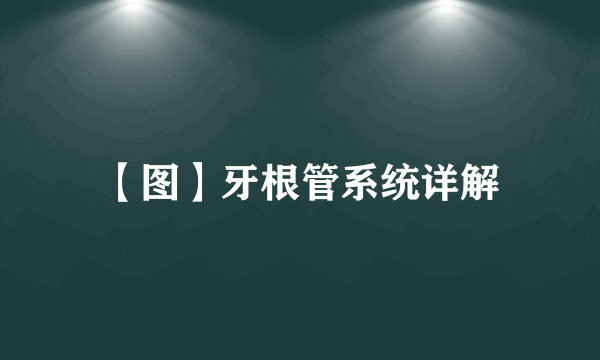 【图】牙根管系统详解