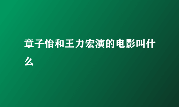 章子怡和王力宏演的电影叫什么