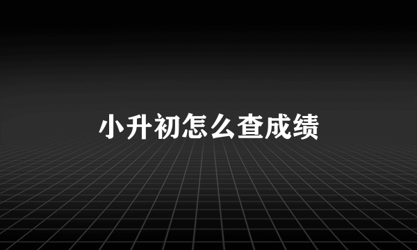 小升初怎么查成绩