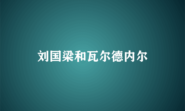 刘国梁和瓦尔德内尔