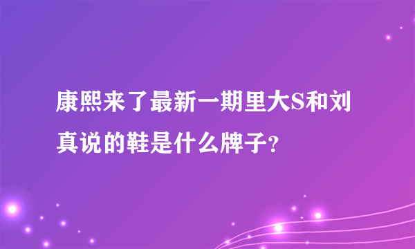 康熙来了最新一期里大S和刘真说的鞋是什么牌子？