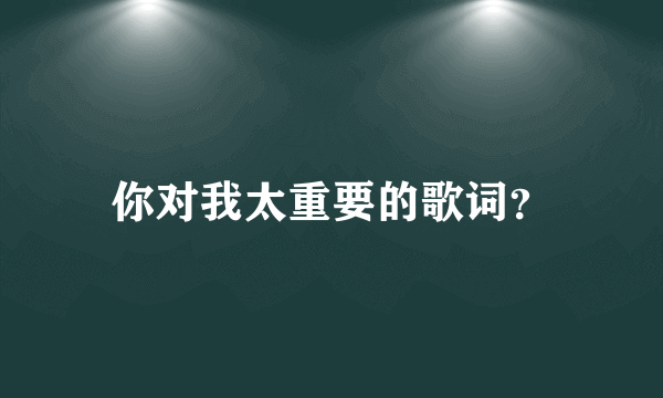 你对我太重要的歌词？