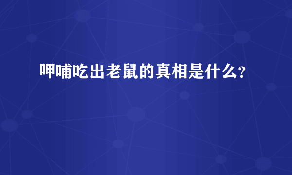 呷哺吃出老鼠的真相是什么？