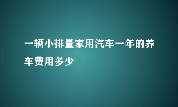 一辆小排量家用汽车一年的养车费用多少