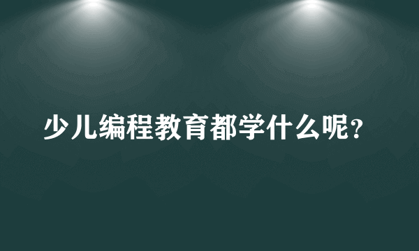 少儿编程教育都学什么呢？