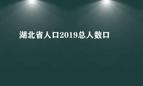 湖北省人口2019总人数口