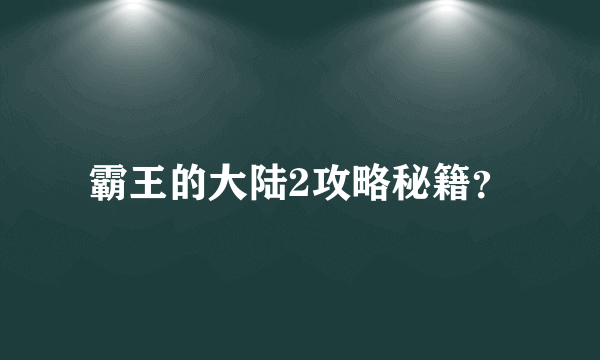 霸王的大陆2攻略秘籍？