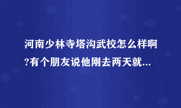 河南少林寺塔沟武校怎么样啊?有个朋友说他刚去两天就要回来了?说学不着真东西？